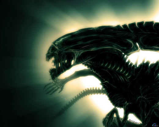 319802 (a): :1280x1024